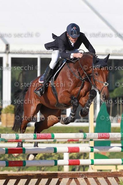 MARTINENGO_ORTENSIA_GIO CAV 2011_(300) SS3_1662.jpg